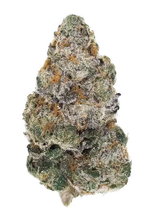 Banana Cookie Kush