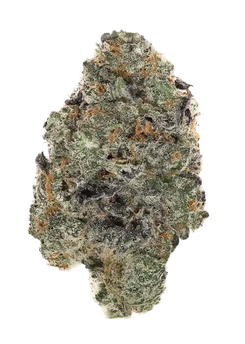 Banana Kush S1