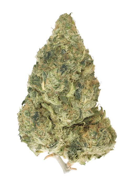 Banana Pie by Atlas Seed