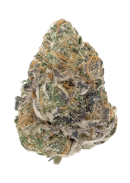 Divorce Cake by Atlas Seed