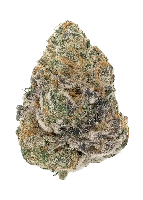 Divorce Cake by Atlas Seed