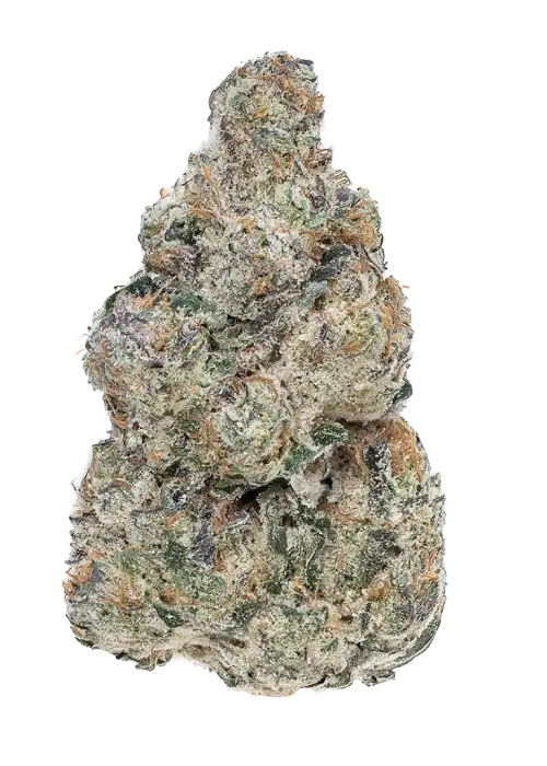 Fat Cake Breath