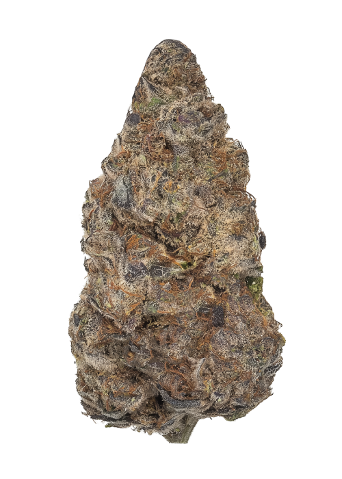 Gelato Rainbow Sherbert