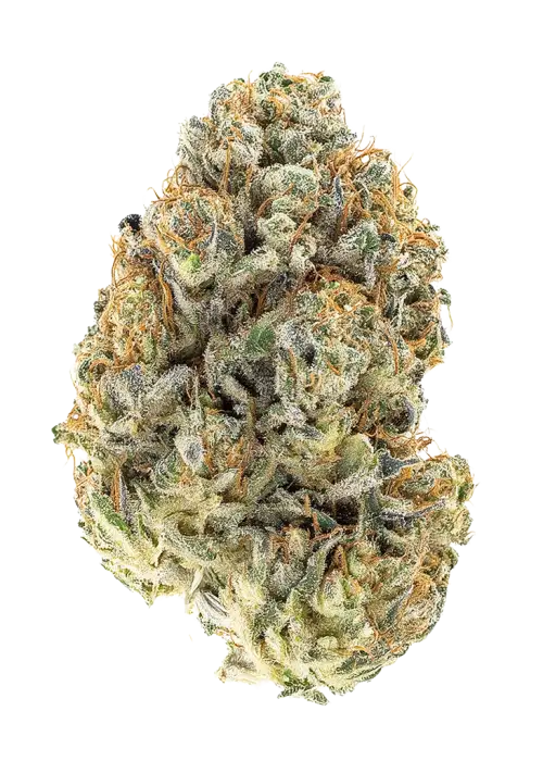 Gorilla Lemon Glue