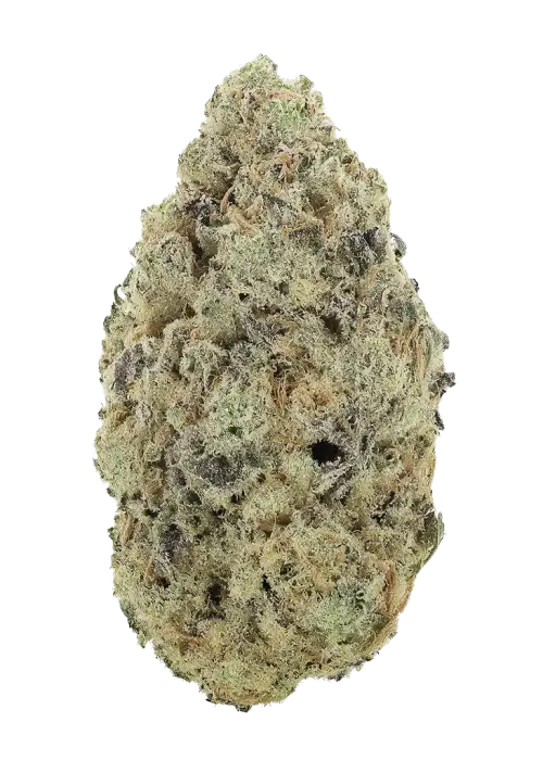 Gorilla MAC