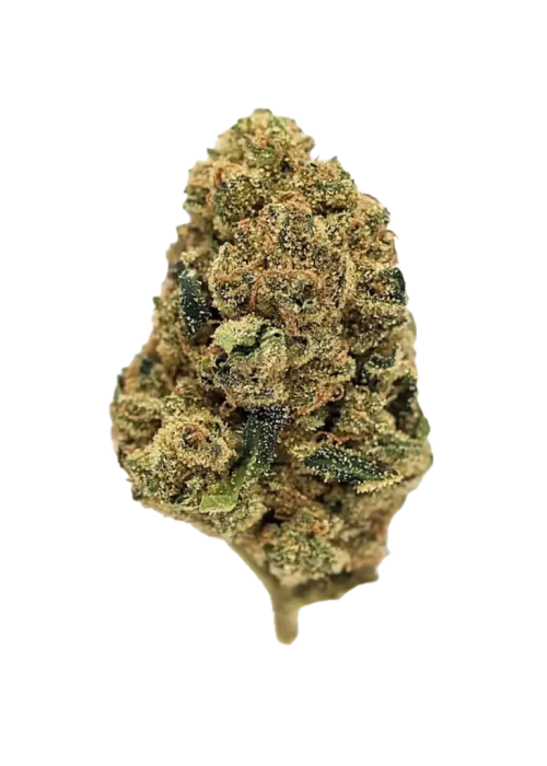 Florida OG
