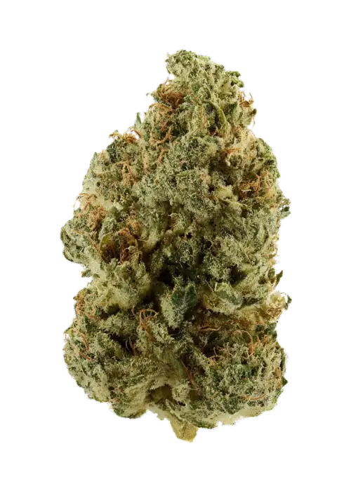 Gorilla Strawberry Diesel