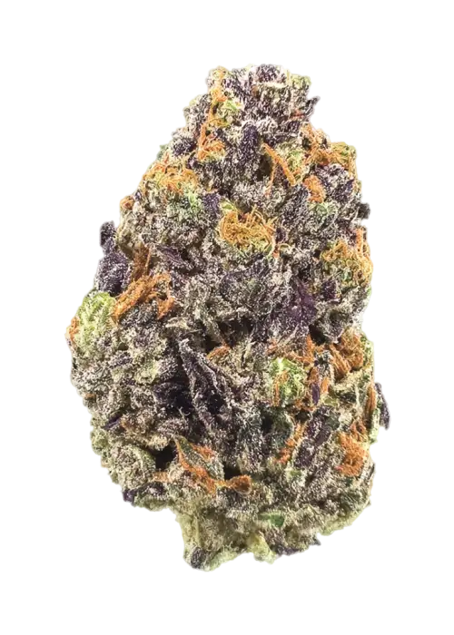Grape Punch by Atlas Seed