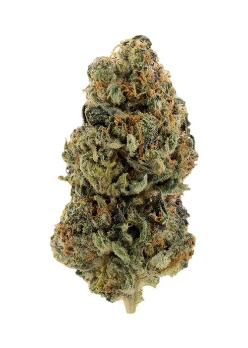 Guava Dream