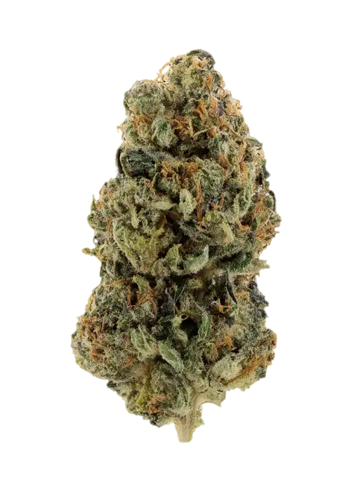 Guava Dream