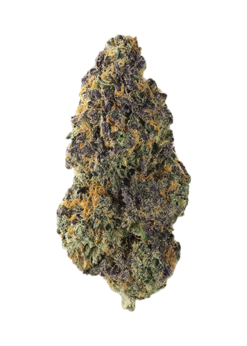 Ice Cream Sherbert