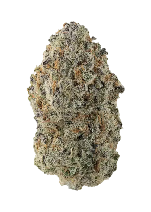Ice Cream Truffle