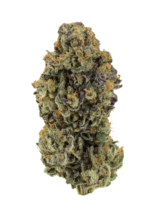 Oreoz Dream