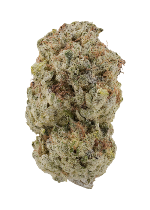 Papaya Banana Bomb
