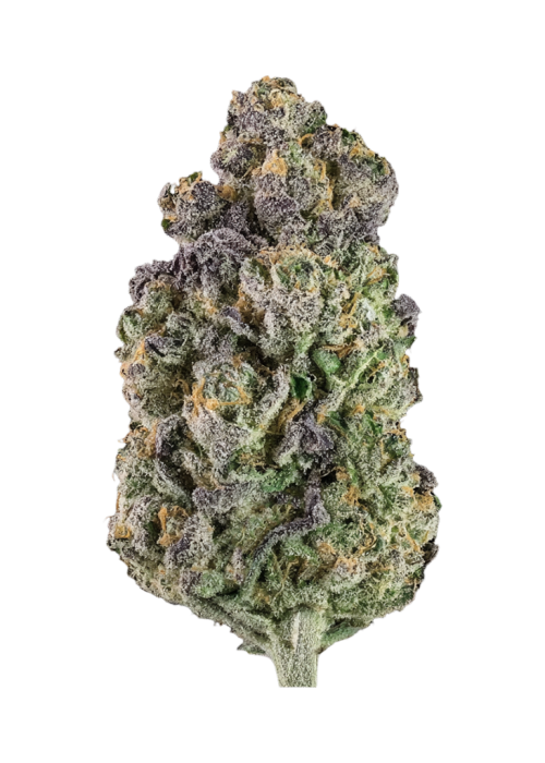 Apple Gas Breath