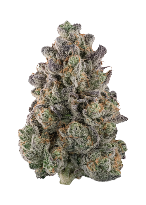 Banana Breath by Atlas Seed