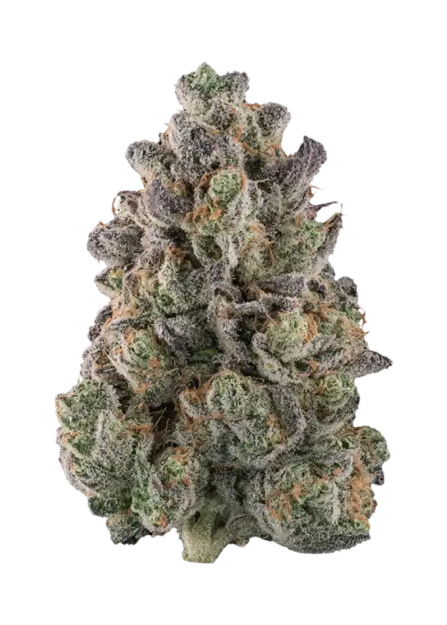 Banana Breath by Atlas Seed