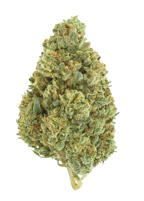 Chemdawg Auto
