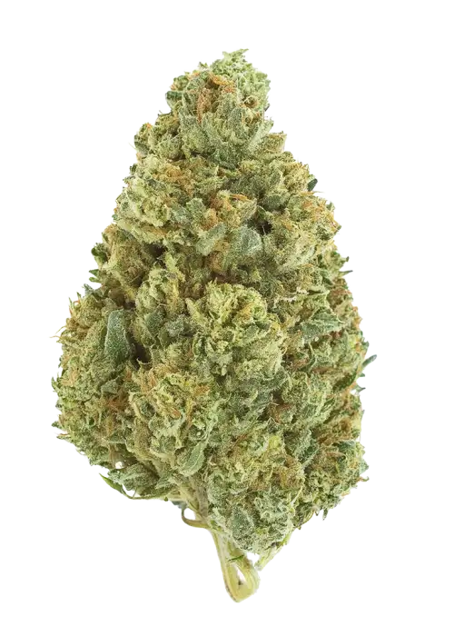 Chemdawg Auto