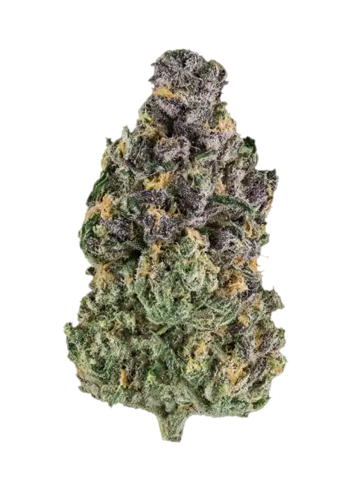 Wedding Breath