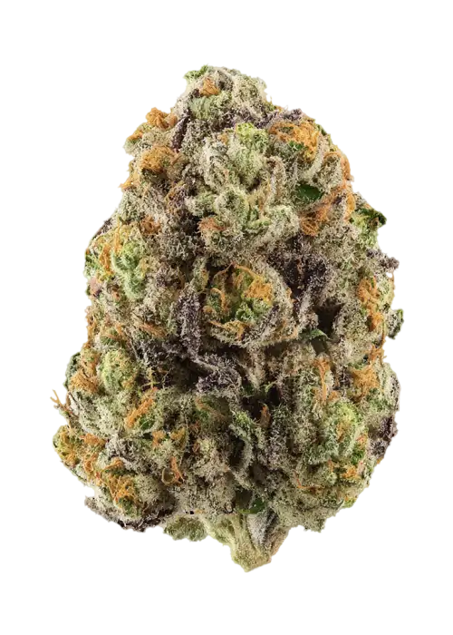 Gumosa