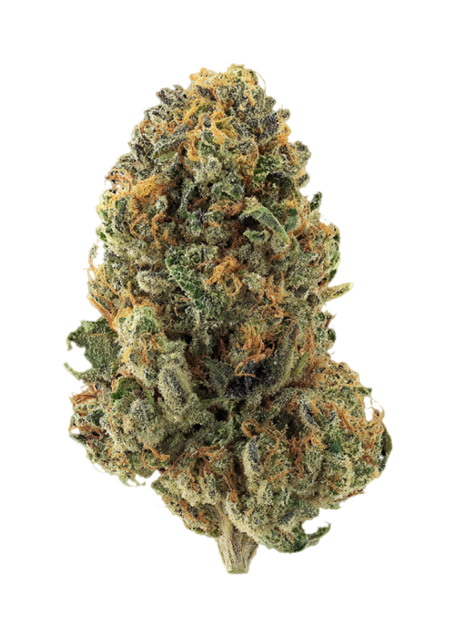 Subcool OG
