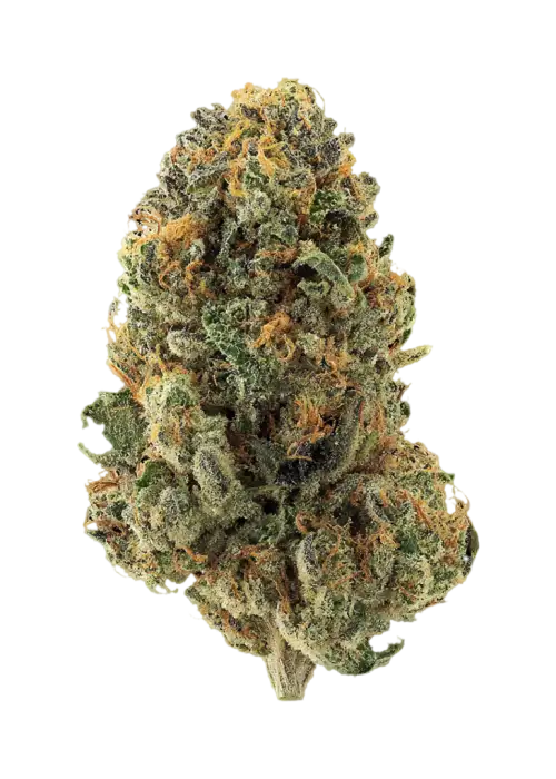 Subcool OG