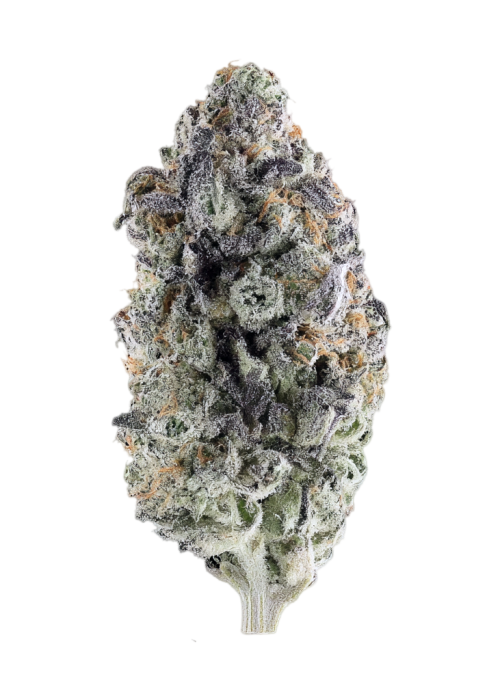 Purple Soul