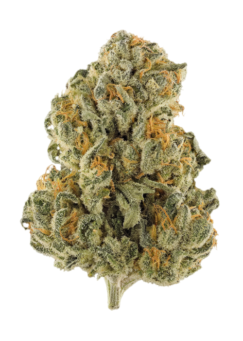 London Haze