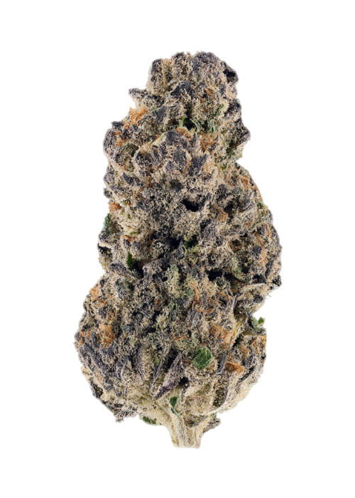 Purple Rocket Pop