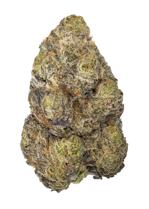 Grape Jack
