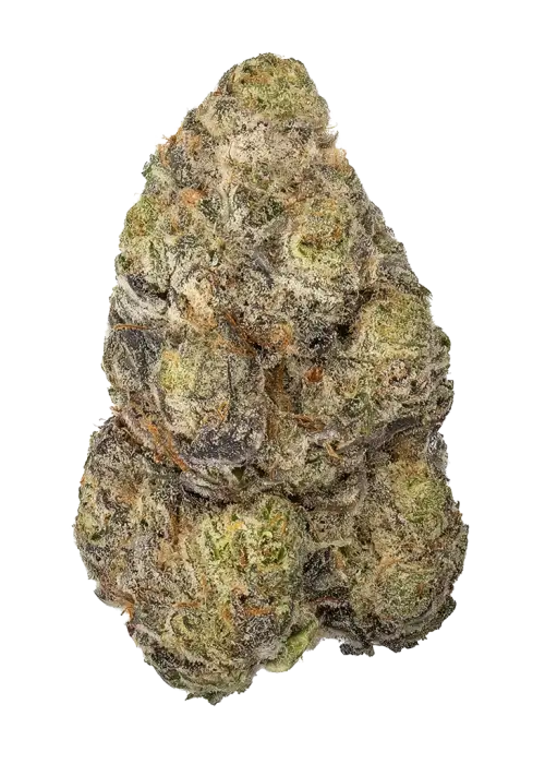 Grape Jack