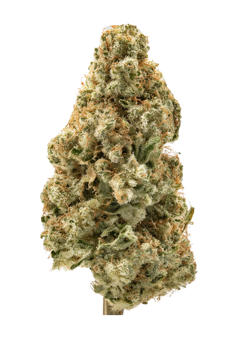 Chembutter