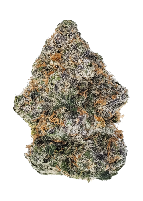 BlueBanger by Wizard Trees