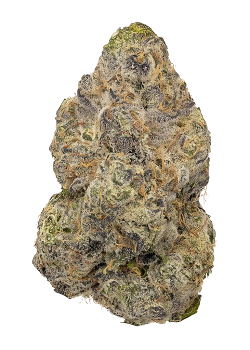 Banana Runtz by Barneys Farm