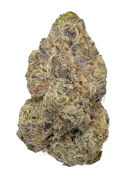 Banana Runtz by Barneys Farm