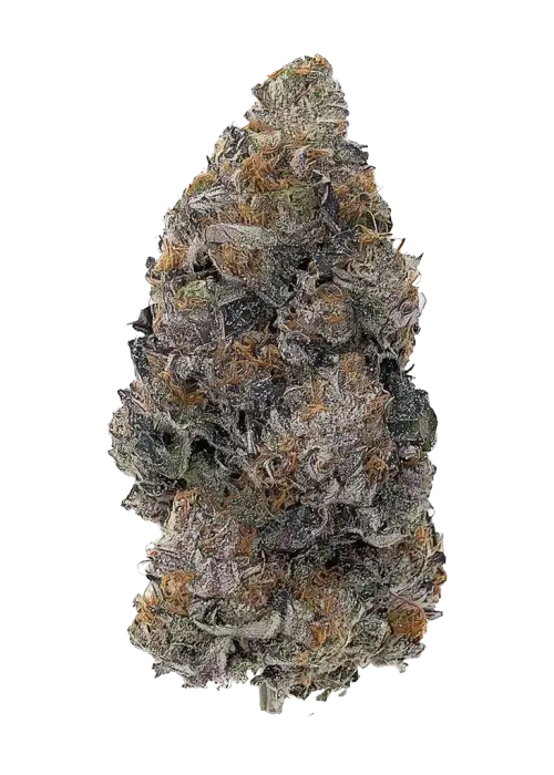 Swerve's Purple Kush S1