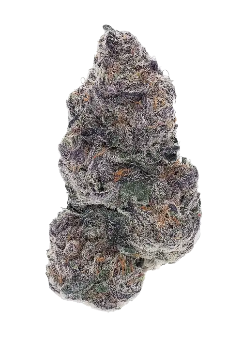 Swerve's Purple Indica S1