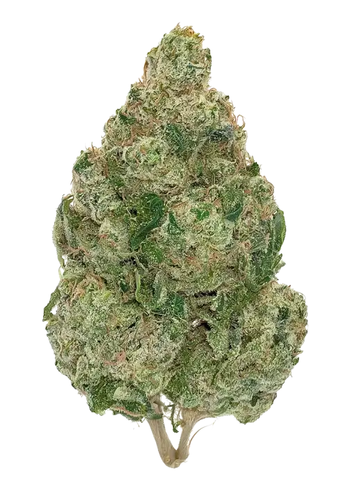 Poison OG Kush
