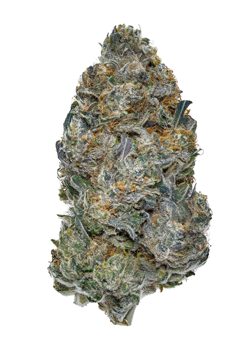Elvis Breath