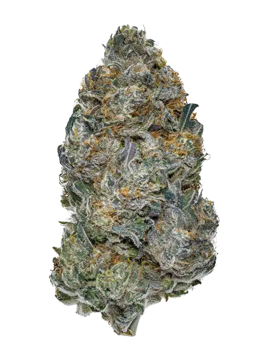 Elvis Breath