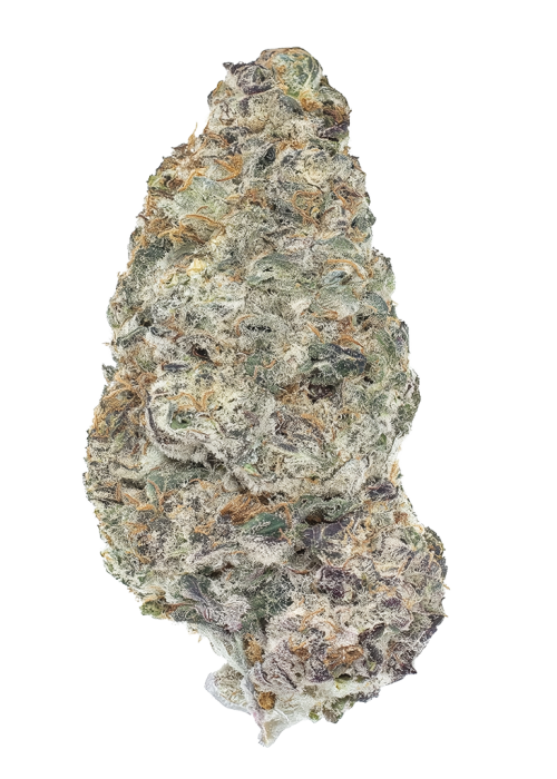 Blue Chiesel