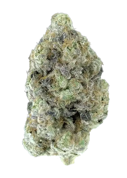 Sour Cherry Kush by Arcana