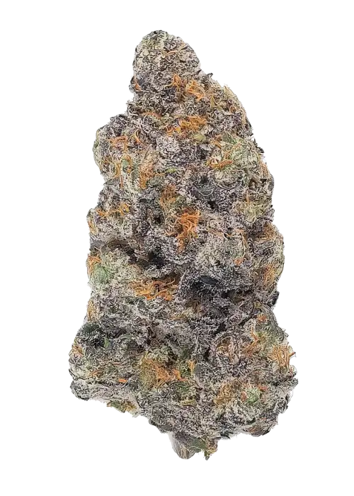 Watermelon Z Bubblegum