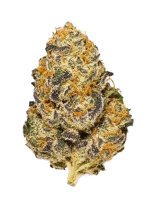 Royal Highness