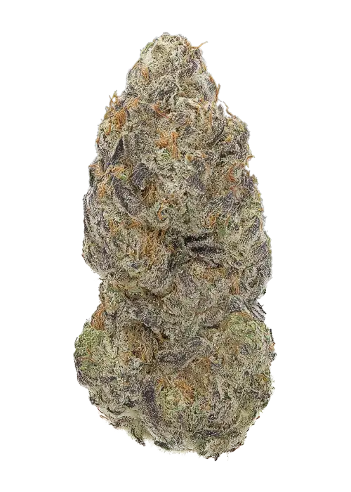Galactic Sugar