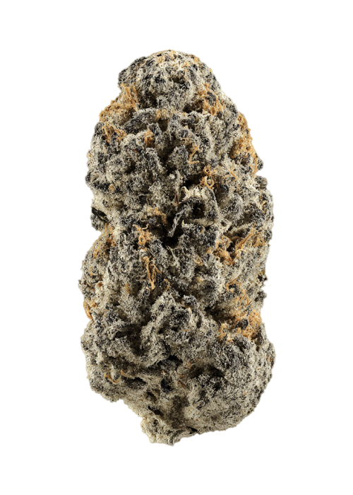Gelato White Gummy