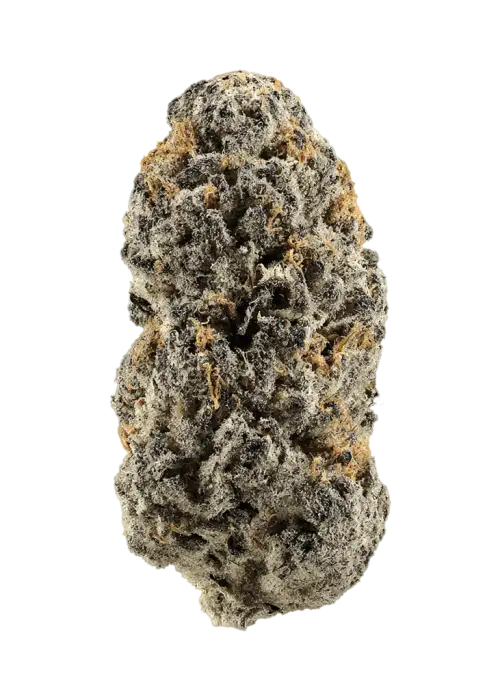 Gelato White Gummy