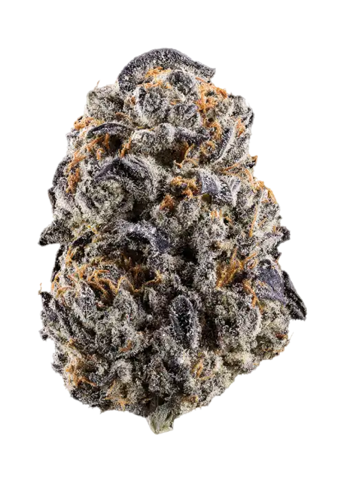 Lemon Warheadz Gelato