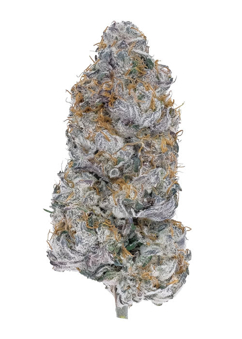 Kushberry Float